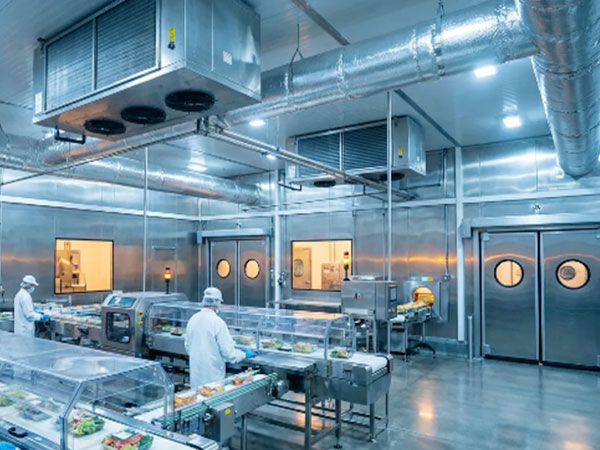 Solución para salas blancas en fábricas de alimentos: Filtración de aire y configuración de equipos para entornos alimentarios con certificación ISO 7-8.